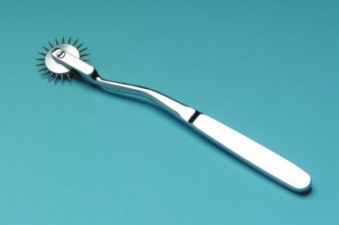 Wartenberg Wheel